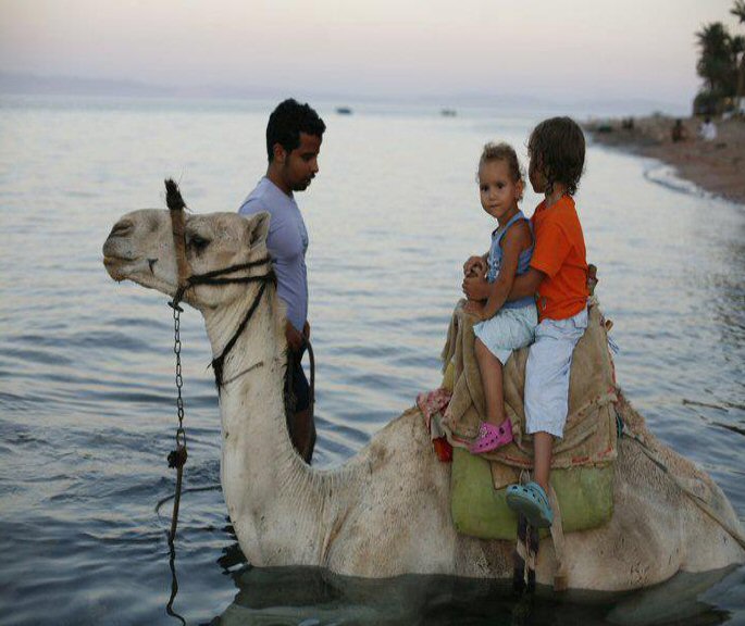 Children sitting on a camel which is standing in a river