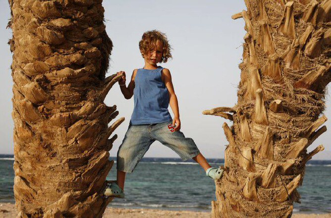 Child standing in a palm tree