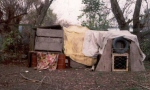 Hut Building at Tamariki