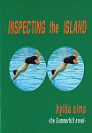 Inspecting the Island